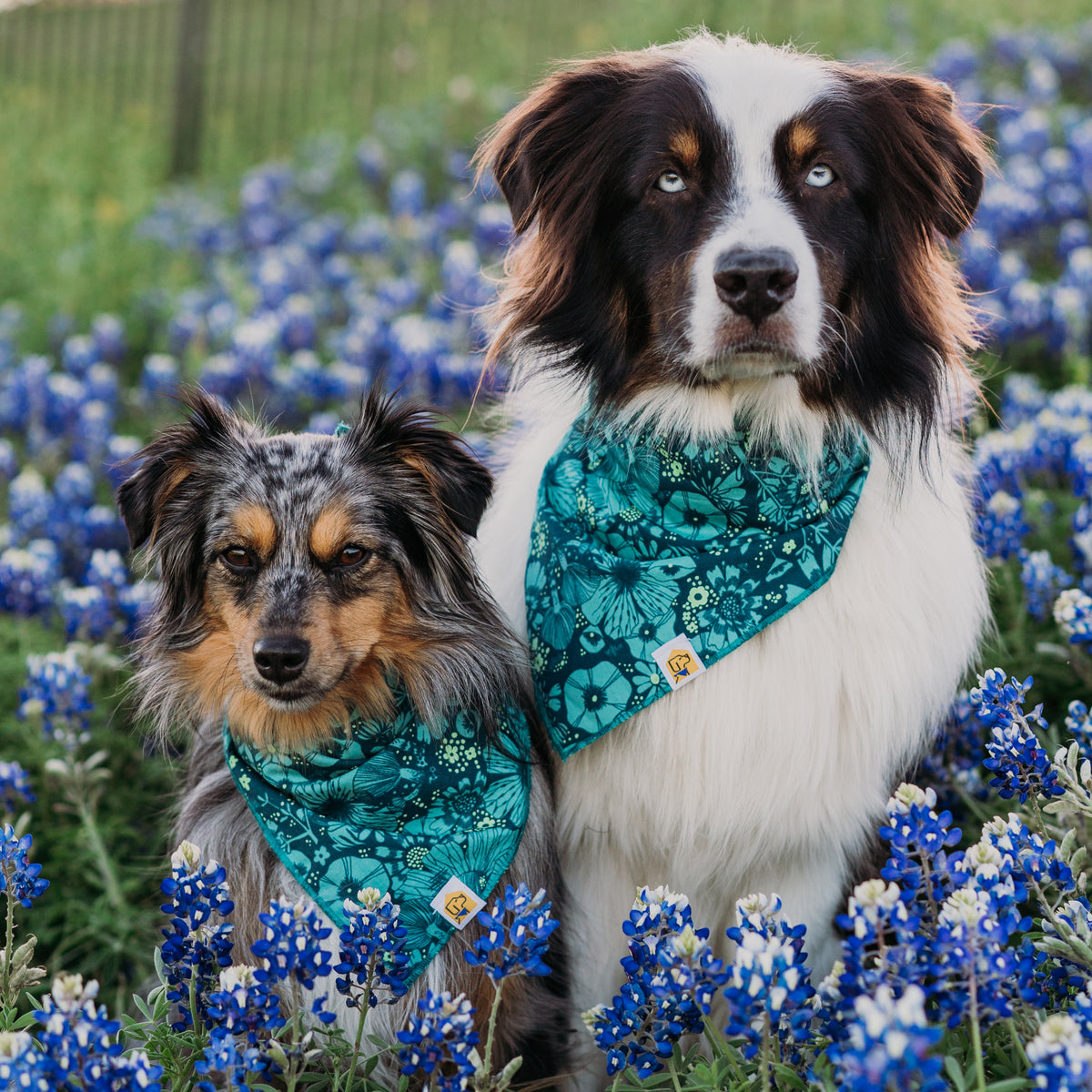 Electric Botanical Dog Bandana