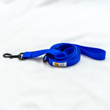 Bright Royal Blue Dog Leash