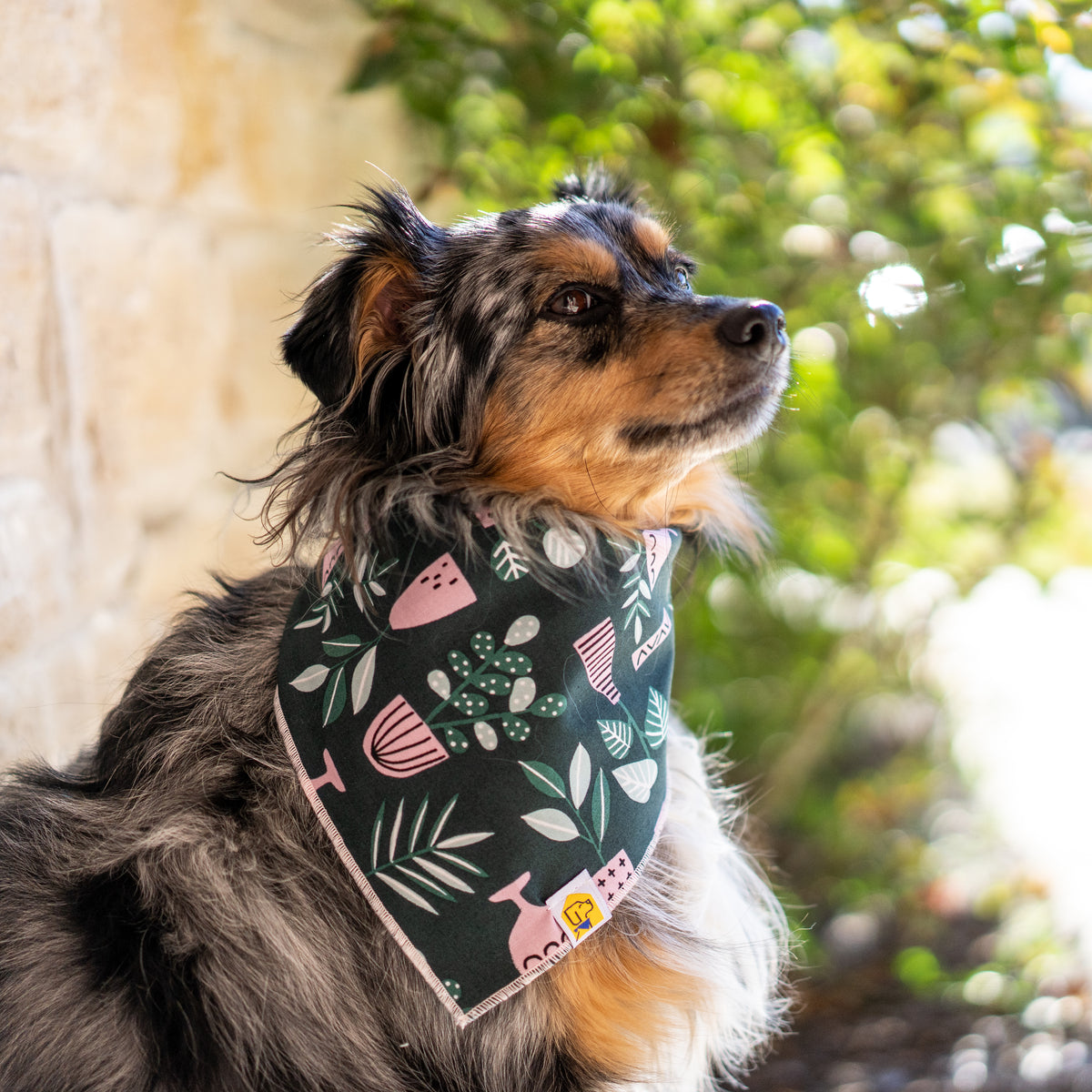 Crazy Plant Lady Dog Bandana