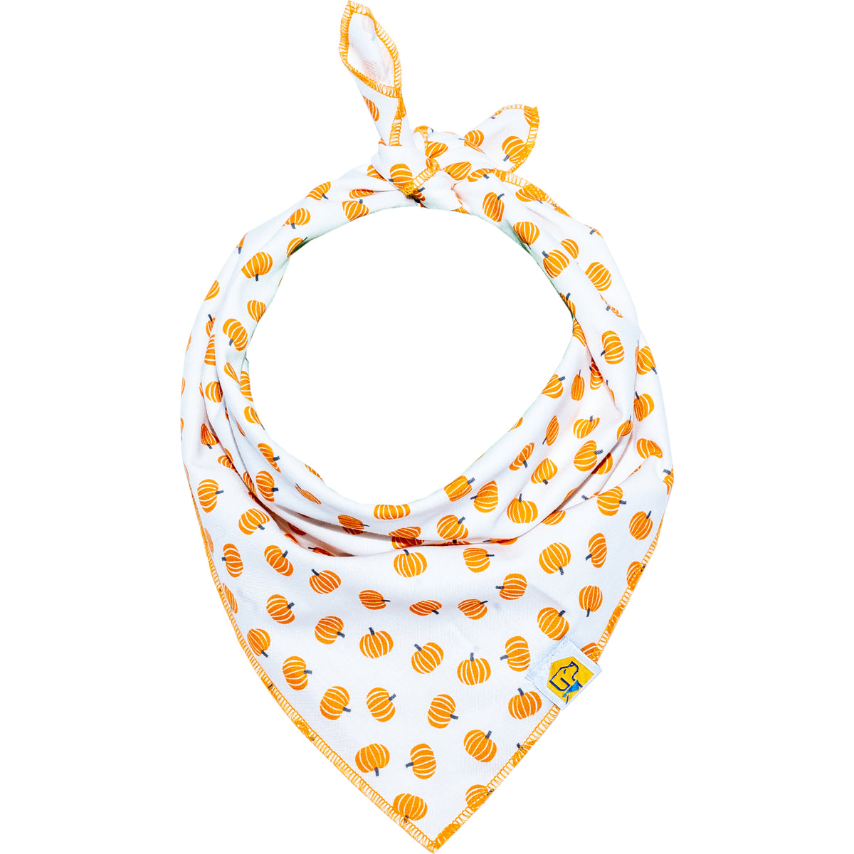 Tiny Pumpkins Bandana