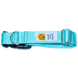 Cyan Dog Collar