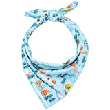 Winter Village Bandana